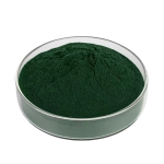 Spirulina Powder Manufacturer - Organic Food Grade