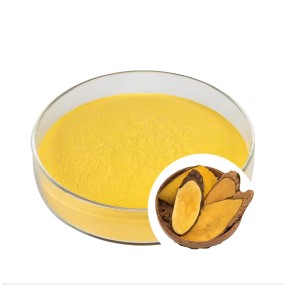 Berberine HCL Factory - 97% Hydrochloride Natural