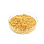 Fisetin Extract Factory - 98% Cotinus Coggygria
