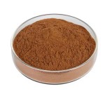 Lions Mane Extract Factory - 50% Polysaccharides Powder