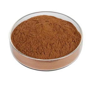 Lions Mane Extract Factory - 50% Polysaccharides Powder