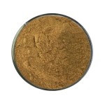 Lions Mane Extract Factory - 50% Polysaccharides Powder