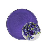 Blue Matcha Powder Supplier - Butterfly Pea Water Soluble