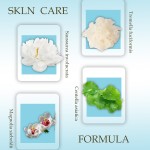 Concealer Cream Factory - Translucent No-Makeup Mineral