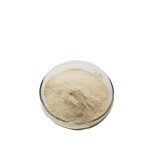 NAD+ Powder Supplier - Plant Extract Food Grade