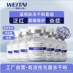 Sunscreen Cream Supplier - High-Power SPF50 Waterproof
