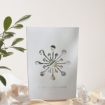 Face Mask Supplier - Plant Based Notoginseng Extract