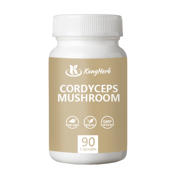 Cordyceps Extract Capsule Factory - Organic Natural Powder