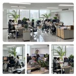 Cordyceps Sinensis Capsule Supplier - Healthy Organic Extract