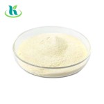 Liposomal Magnesium Powder Supplier - 50% 80% Supplement