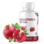 Urolithin A Powder Factory - 98% Pomegranate Extract