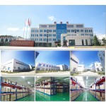 Gentian Root Extract Factory - 98% CAS 20831-76-9