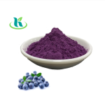 Blueberry Powder Supplier - Organic Freeze-dried Fruit