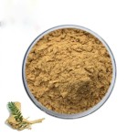Alpha Amylase Supplier - High Quality Natural