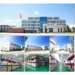 Berberine Extract Powder Factory - OEM Hydrochloride Capsules