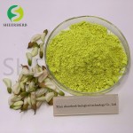 Quercetin Extract Supplier - 98% Sophora Japonica