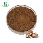 Reishi Mushroom Coffee Supplier - 100% Natural Good Taste