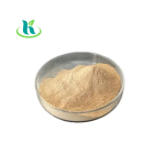 Dog Probiotic Powder Supplier - 20 Billion CFU Freeze Dried