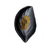 Tongkat Ali Powder Supplier - 100% Root Extract Malaysia