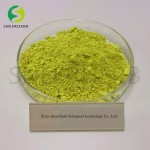 Quercetin Extract Supplier - 98% Sophora Japonica