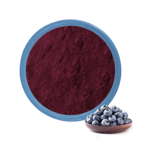 Blueberry Powder Supplier - Organic Freeze-dried Fruit