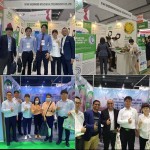 Yucca Extract Manufacturer - 10:1 Concentrated Liquid