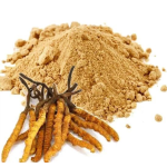 Cordyceps Capsule Supplier - OEM Private Label Extract