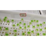 Creatine Gummies Manufacturer - Pre Workout 5000mg Halal