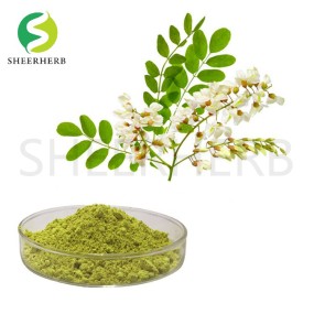 Quercetin Extract Supplier - 98% Sophora Japonica