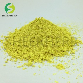 Quercetin Powder Factory - High Quality Extract