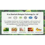 Yucca Extract Manufacturer - 10:1 Concentrated Liquid