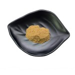 Tongkat Ali Powder Supplier - 100% Root Extract Malaysia