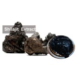 Himalayan Shilajit Supplier - Organic Nature Resin