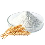Spermidine Powder Supplier - 98% Wheat Germ Extract