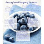 Blueberry Powder Supplier - Organic Freeze-dried Fruit