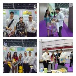 Tongkat Ali Extract Manufacturer - 1% 2% 3% Eurycomanone