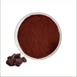 Dragon Blood Extract Factory - Premium Herbal Resin