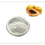 Papain Enzyme Supplier - Crude Bulk Enzyme Production