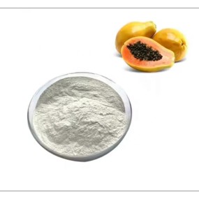 Papain Enzyme Supplier - Crude Bulk Enzyme Production