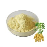 Luteolin Powder Factory - Natural Plant Cosmetic