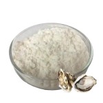 Oyster Meat Powder Supplier - Food Grade Health Supplement
