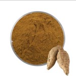 Kudzu Root Extract Factory - High Potency Isoflavones