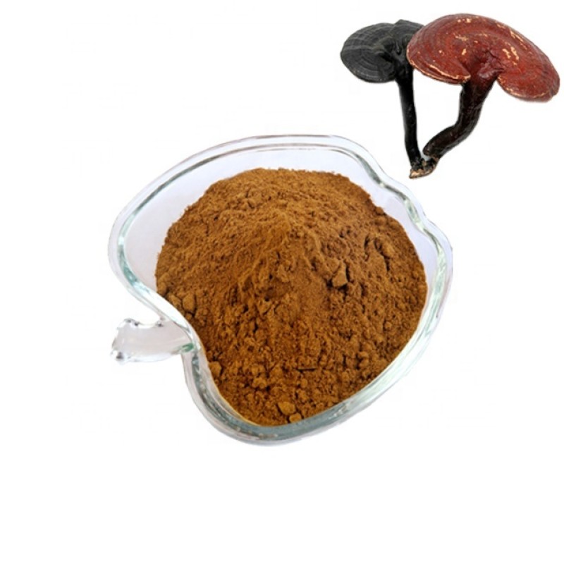 Reishi Mushroom Extract Factory - Triterpene Immune Support