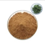 Gynostemma Extract Supplier - Organic Heart Health