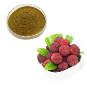 Myricitrin Extract Factory - Myrica Rubra Natural