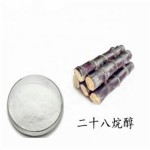 Octacosanol Powder Supplier - Organic Sugarcane Wax