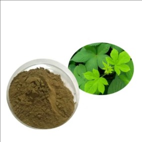 Gynostemma Extract Supplier - Organic Heart Health