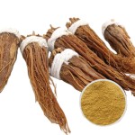 Korean Red Ginseng Liquid Supplier - Hot Sale Extract Drink