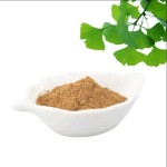Ginkgo Biloba Extract Supplier - 24%/6% Cognitive Support