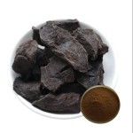 Polygonum Multiflorum Factory - Bulk Anti Aging Extract